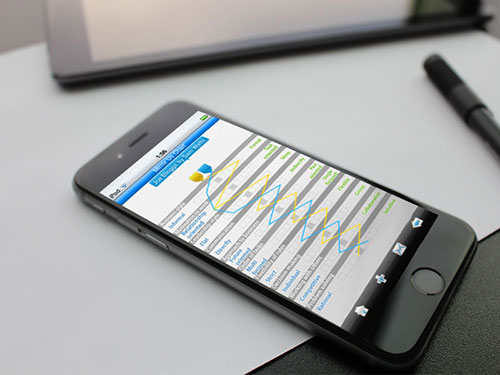 Mobile Solution - Mirror Mirror